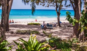 Barbados beach with a people under a shade tree