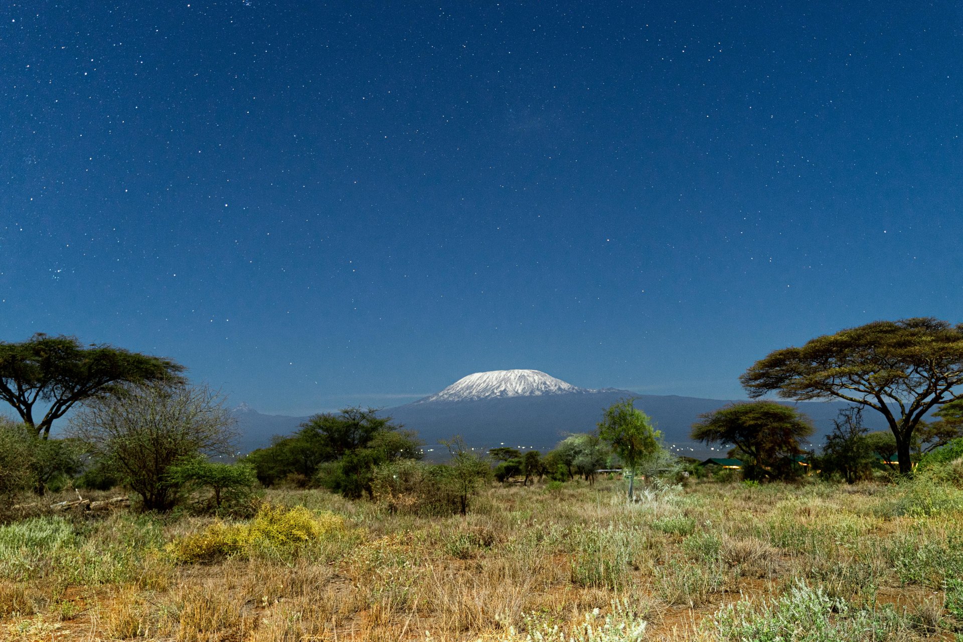 Mission Briefs: Global Rescue in Action – Issue 62