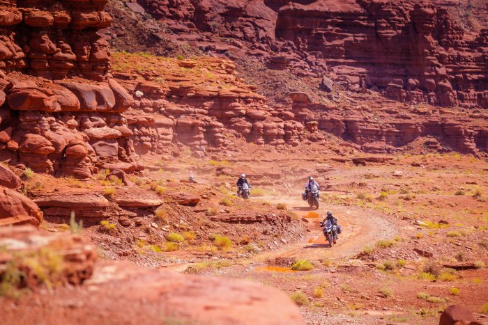 Three motorcyclists ride off-road through a red canyon.
