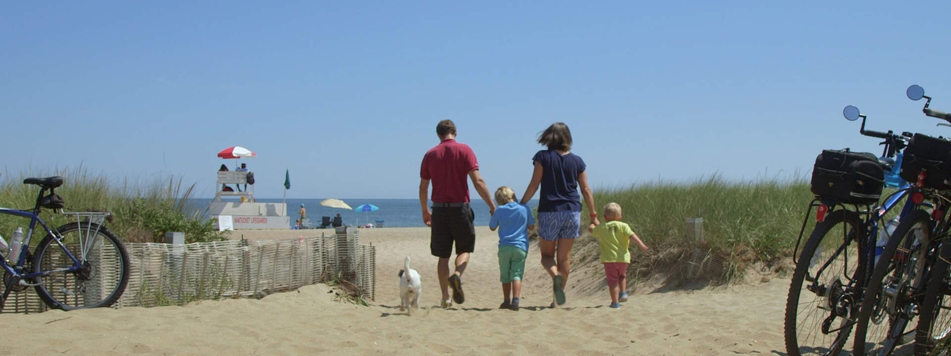 Anaphylactic Shock in Austria