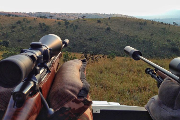 Novedades en la caza internacional