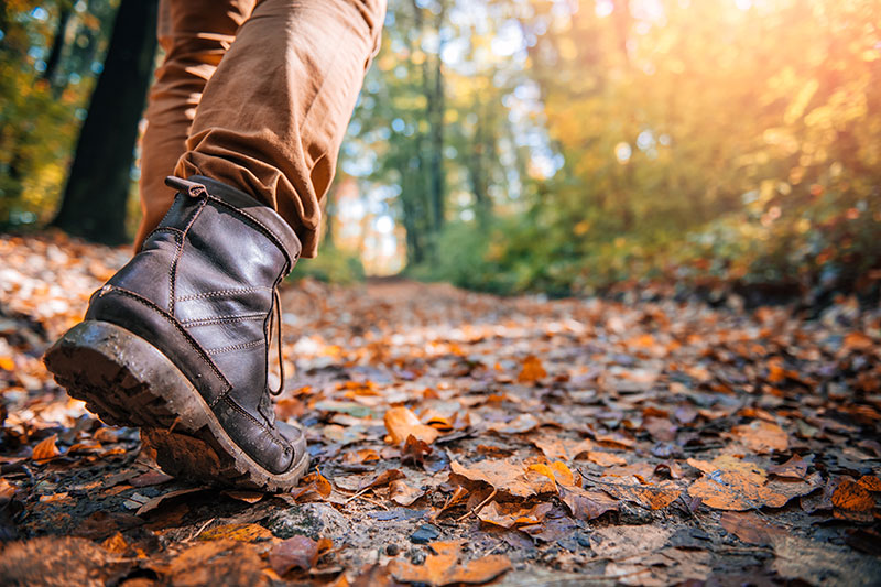 Post-Autumn Trail Travel: How to Protect Against Bugs, Leaves and Darkness
