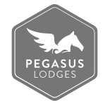 pegasus grey logo