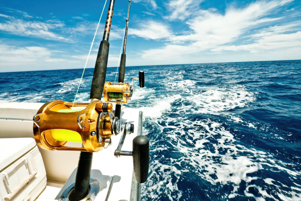 Why Is July the Ultimate Month for Big-Game International Sport Fishing?
