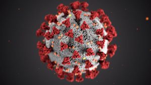 Exploring Coronavirus Myths and Facts