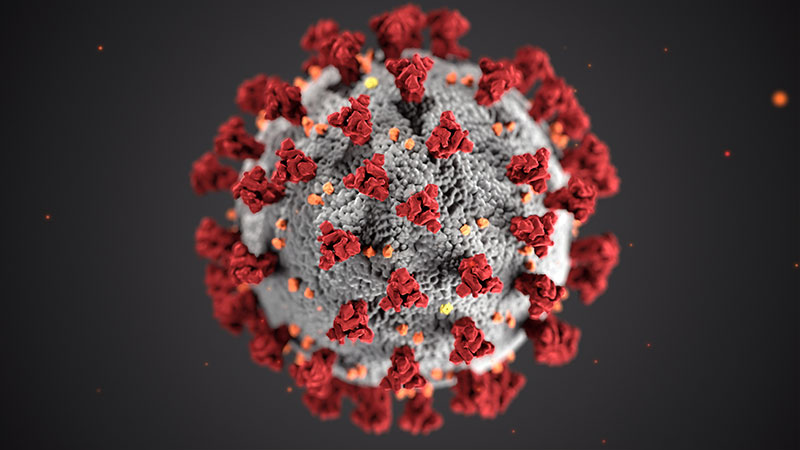 Exploring Coronavirus Myths and Facts