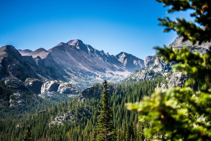 A Colorado mountain scene, with blue skies, tower mountains, and green pine trees.