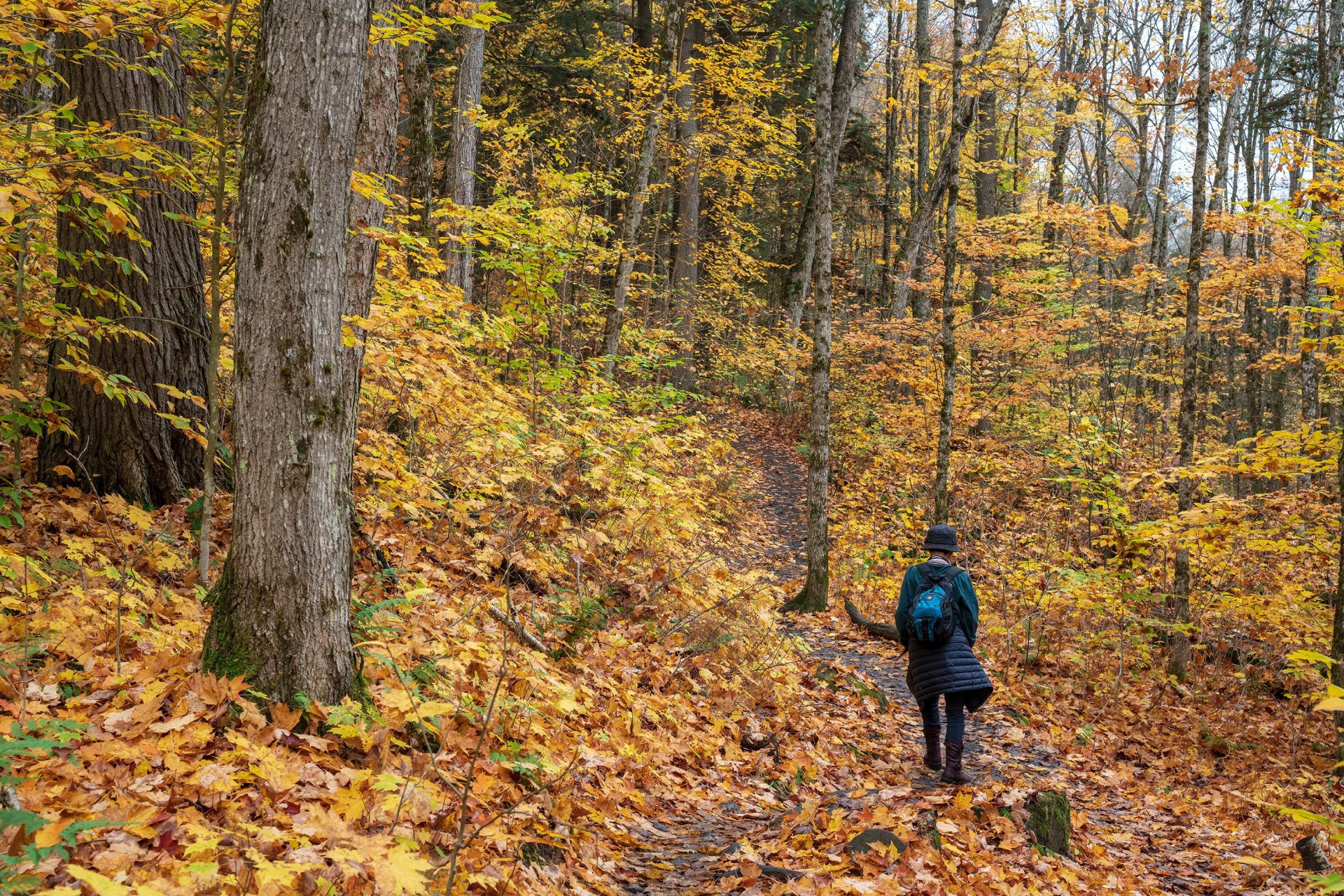 The Leaf Peeper’s Guide to Health and Safety This Fall